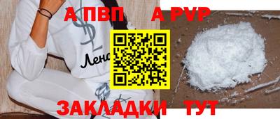 шишки Кингисепп