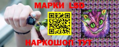 шишки Кингисепп