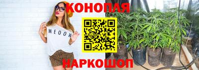 ALPHA PVP Кимры