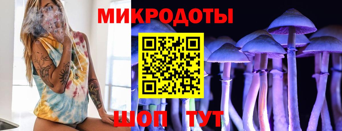 Котельники  Псилоцибиновые грибы Cubensis  Вход с VPN 